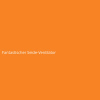Fantastischer Seide-Ventilator